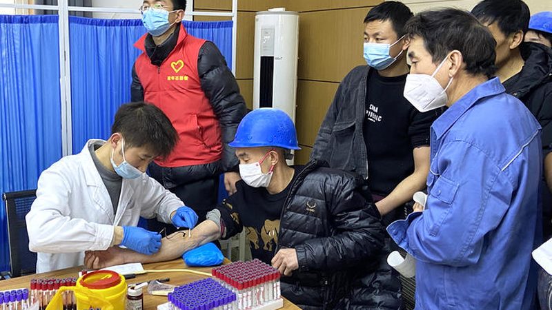 基因检测报告真假辨别